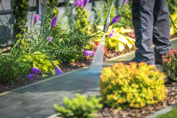 Best Animal Enclosure Cleaning  in West Unity, OH